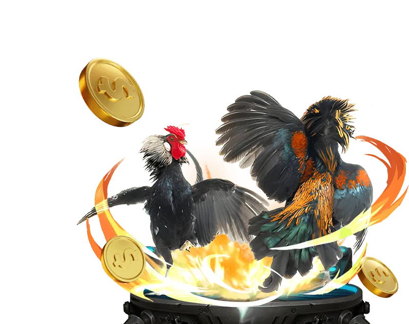 Hình ảnh minh họa các quy tắc và tính công bằng trong trò chơi của de bet